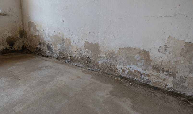 Fugtige kældervægge